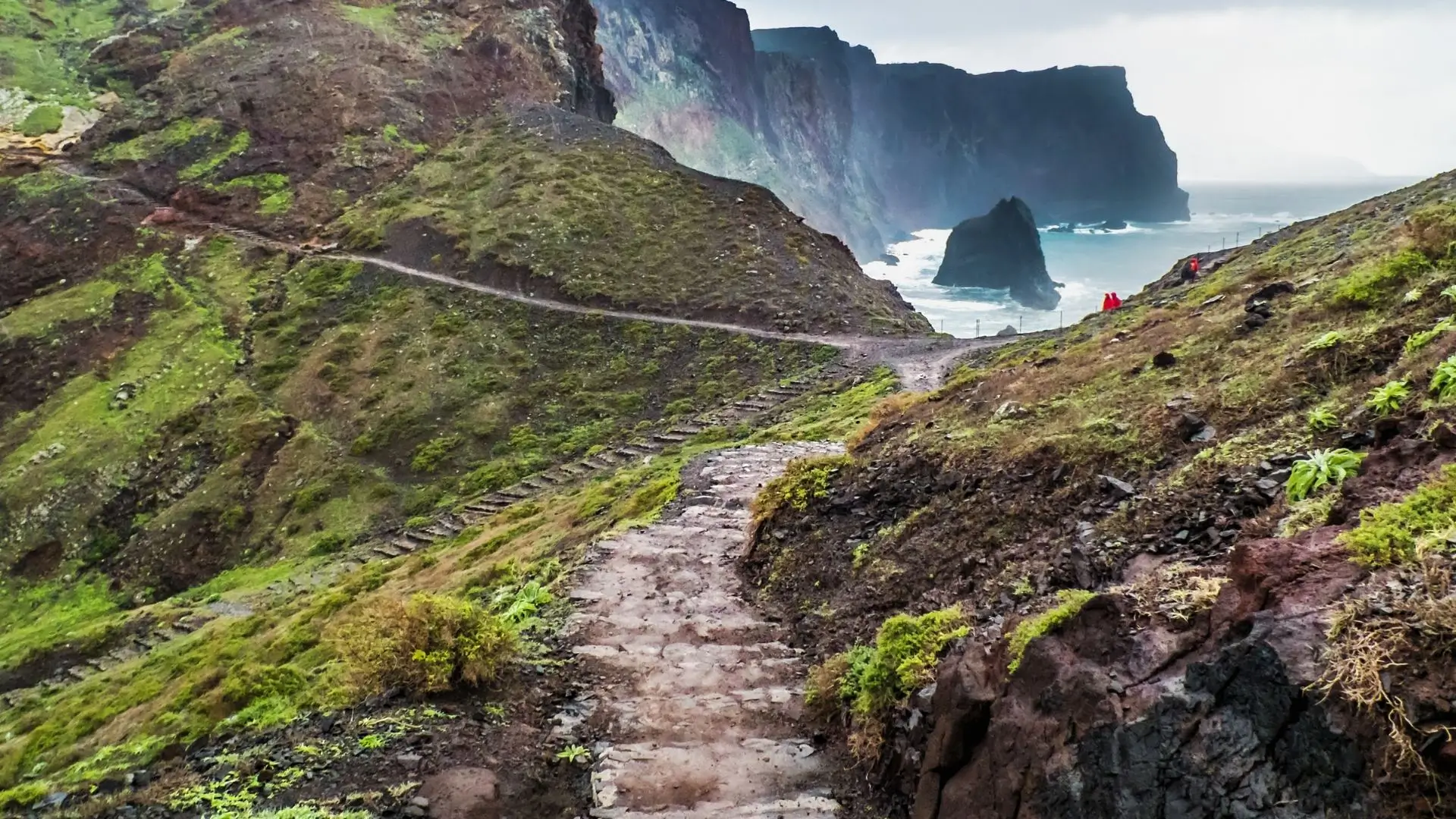 Best things to do in madeira