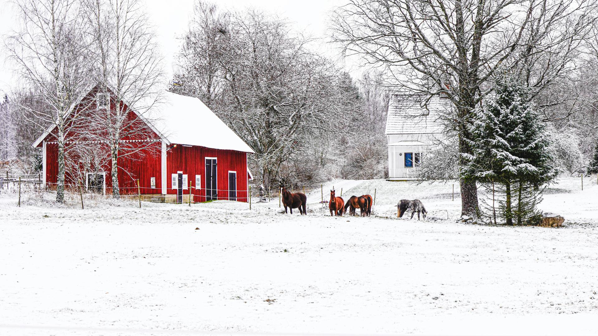 The Most Beautiful Places in the North of Sweden
