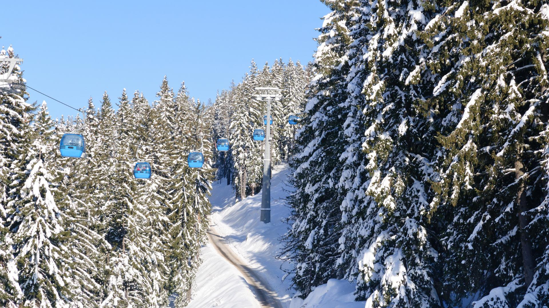 Things to Do in Bansko in Winter