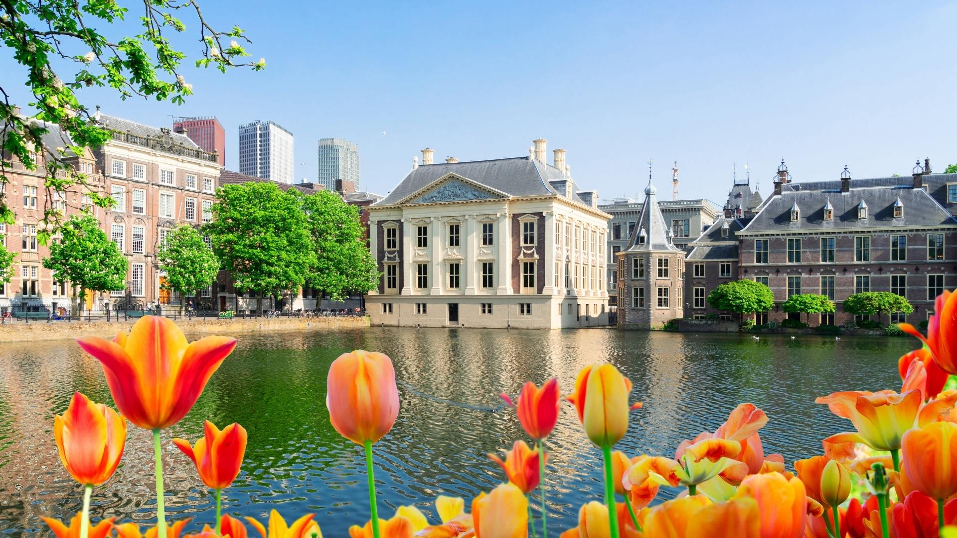 Why Visit The Hague