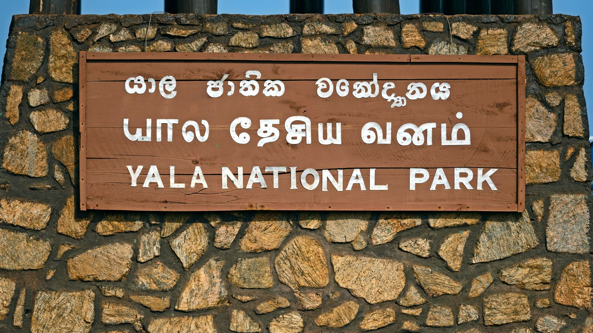 Yala national park
