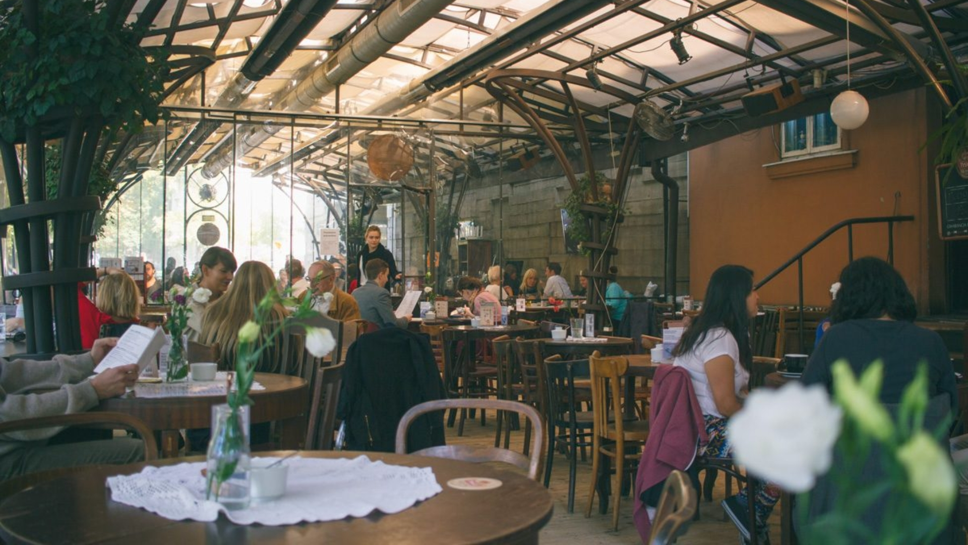 Kraków’s Café Culture