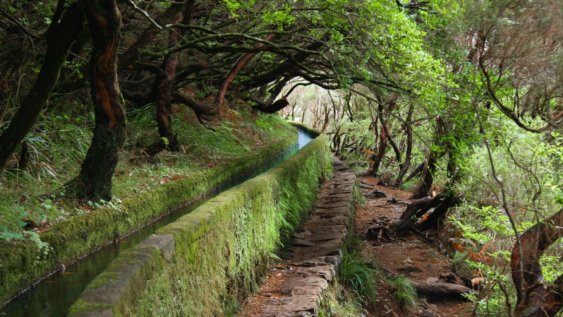 Levada Walks Madeira