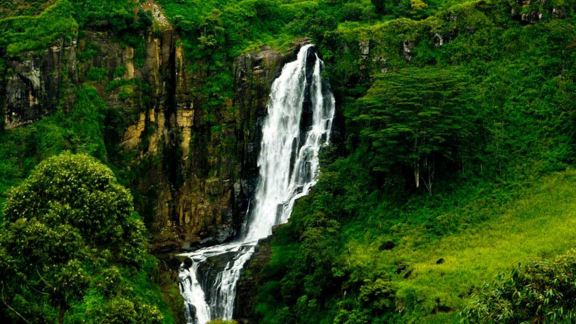 Nature Walks and Waterfalls