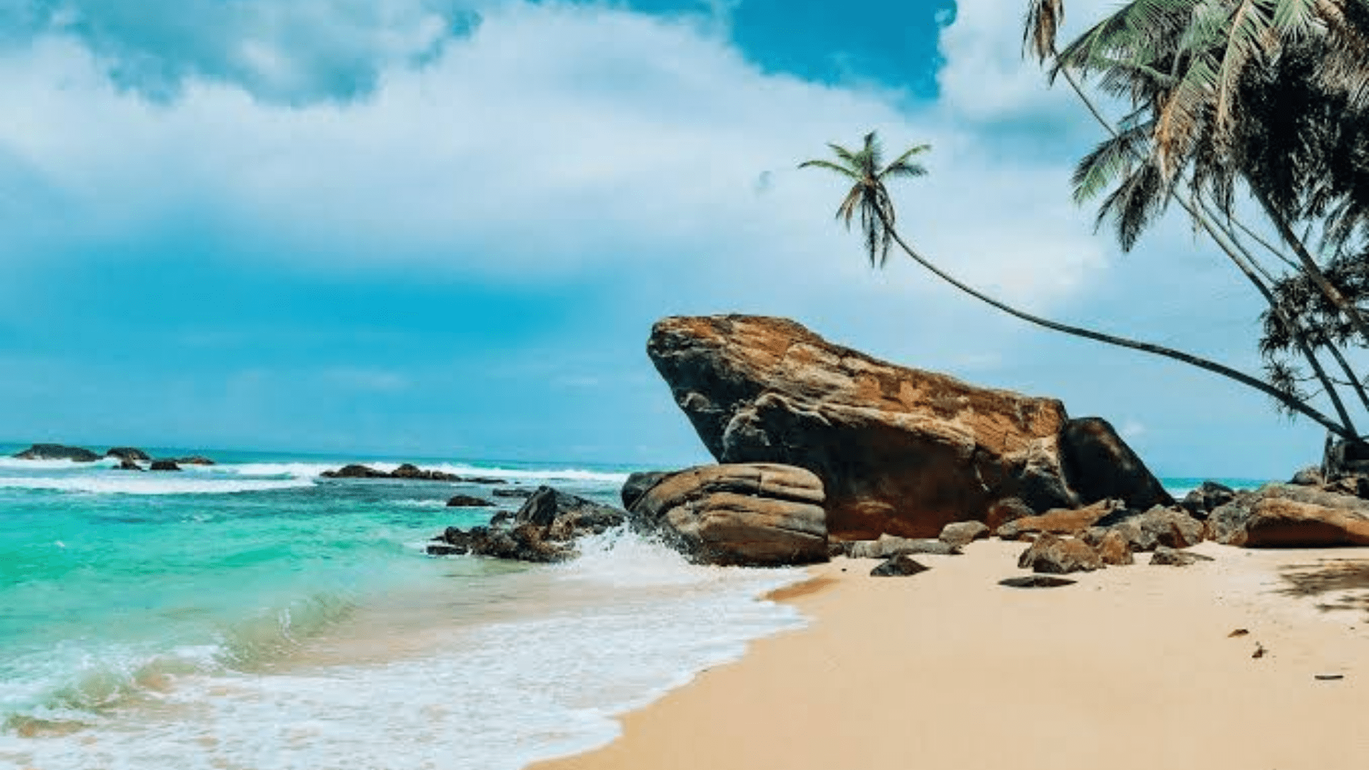 Why Southern Sri Lanka Beaches Stand Out in 2026