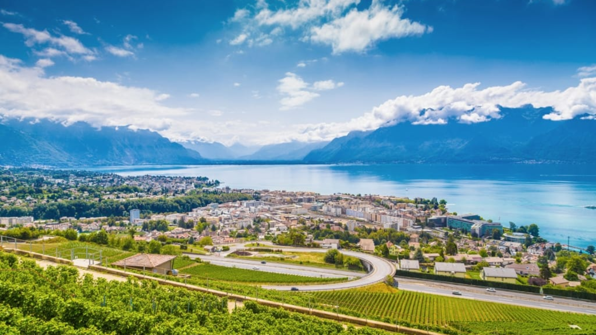 Who Should Visit Geneva?
