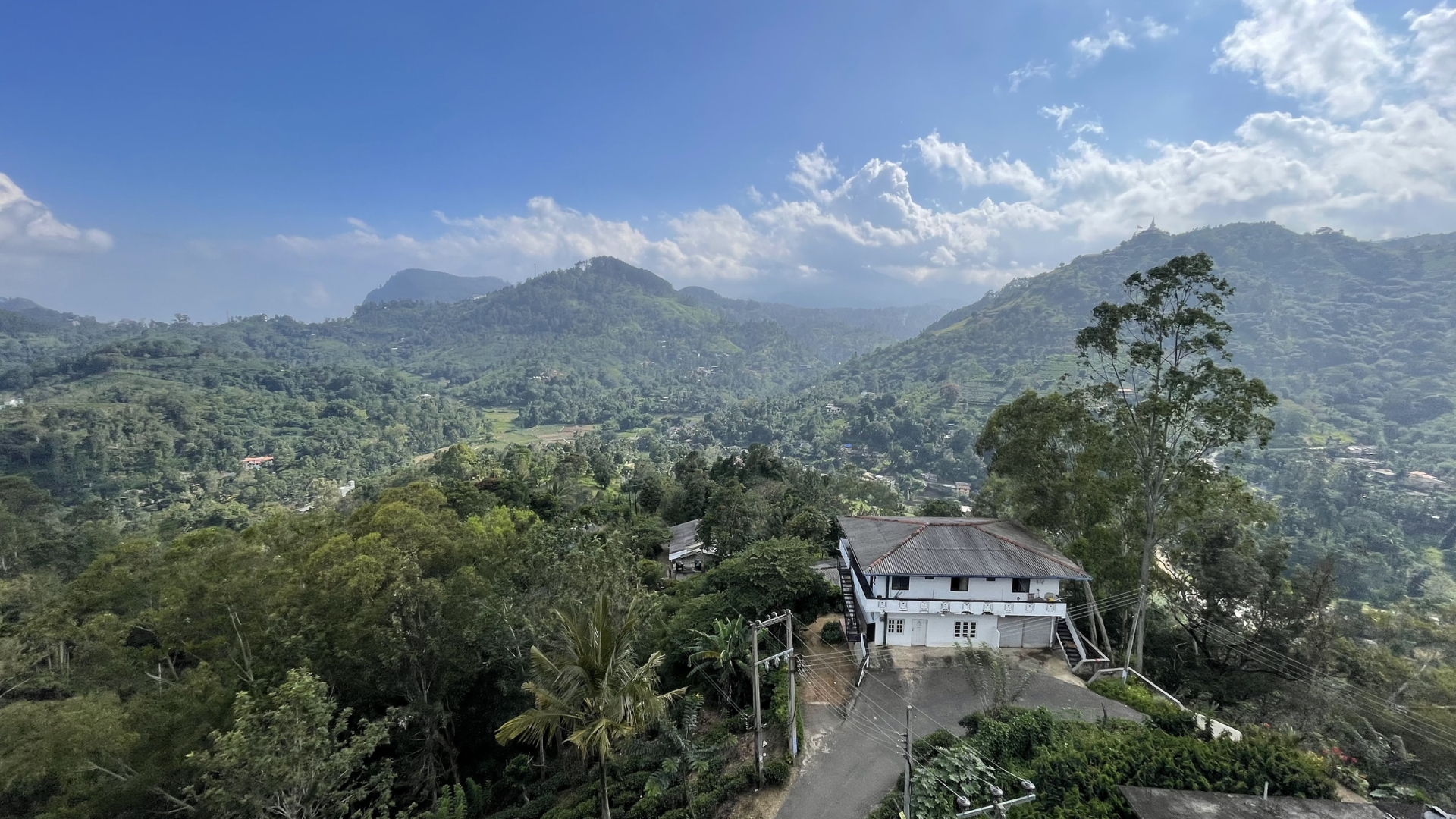 tea plantation visits around Ella